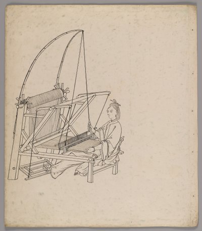 Album di fogli separati: Coltivazione e produzione della seta da Chinese School